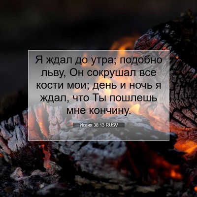 Picture 07 - Исаия 38:13 RUSV - Я ждал до утра; подобно - Bible Verse Picture