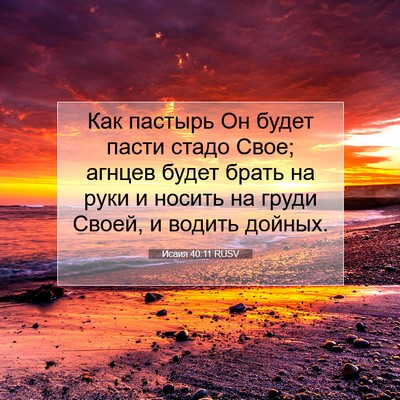 Picture 07 - Исаия 40:11 RUSV - Как пастырь Он будет пасти - Bible Verse Picture