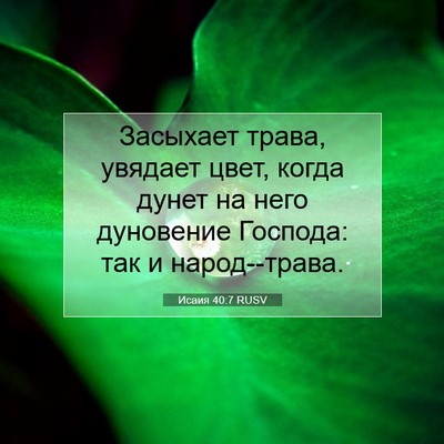 Picture 07 - Исаия 40:7 RUSV - Засыхает трава, увядает - Bible Verse Picture
