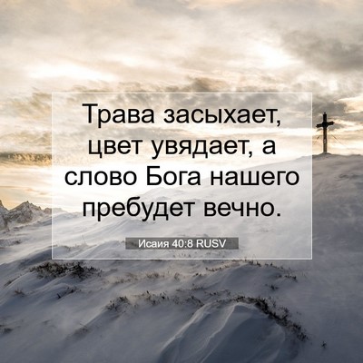 Picture 07 - Исаия 40:8 RUSV - Трава засыхает, цвет - Bible Verse Picture