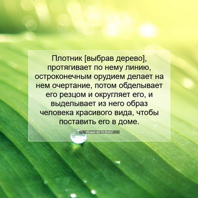 Picture 07 - Исаия 44:13 RUSV - Плотник [выбрав дерево], - Bible Verse Picture