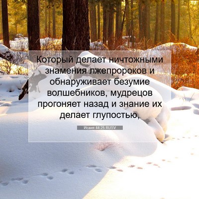 Picture 07 - Исаия 44:25 RUSV - Который делает ничтожными - Bible Verse Picture