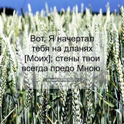 Picture 07 - Исаия 49:16 RUSV - Вот, Я начертал тебя на - Bible Verse Picture