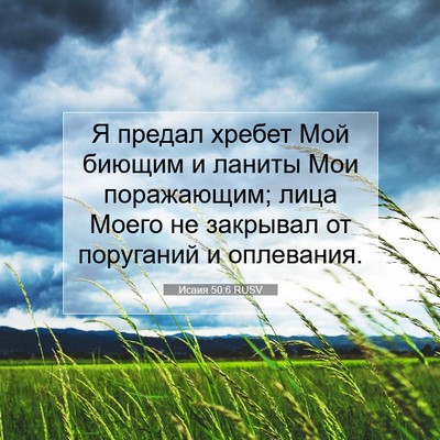 Picture 07 - Исаия 50:6 RUSV - Я предал хребет Мой биющим - Bible Verse Picture