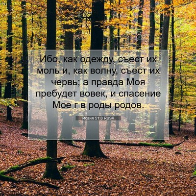 Picture 07 - Исаия 51:8 RUSV - Ибо, как одежду, съест их - Bible Verse Picture
