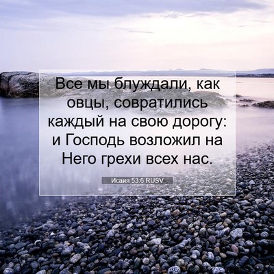 Picture 07 - Исаия 53:6 RUSV - Все мы блуждали, как овцы, - Bible Verse Picture