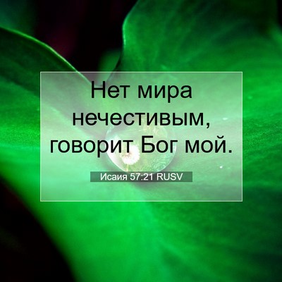 Picture 07 - Исаия 57:21 RUSV - Нет мира нечестивым, - Bible Verse Picture