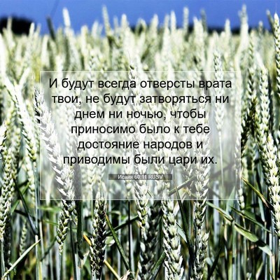 Picture 07 - Исаия 60:11 RUSV - И будут всегда отверсты - Bible Verse Picture