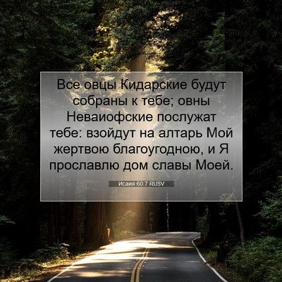 Picture 07 - Исаия 60:7 RUSV - Все овцы Кидарские будут - Bible Verse Picture