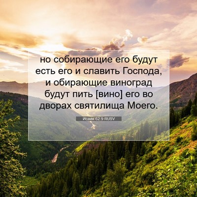 Picture 07 - Исаия 62:9 RUSV - но собирающие его будут - Bible Verse Picture