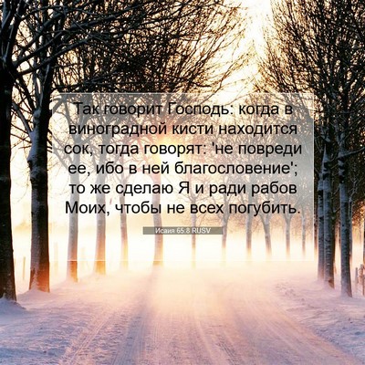 Picture 07 - Исаия 65:8 RUSV - Так говорит Господь: когда - Bible Verse Picture