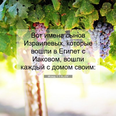 Picture 07 - Исход 1:1 RUSV - Вот имена сынов - Bible Verse Picture