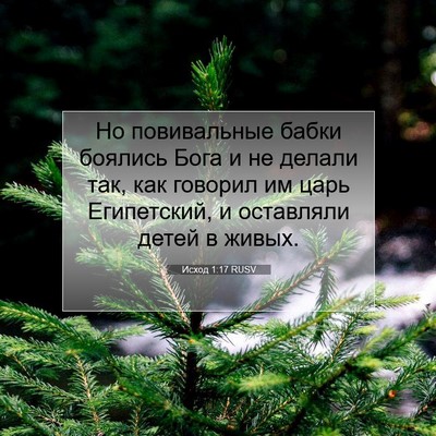 Picture 07 - Исход 1:17 RUSV - Но повивальные бабки - Bible Verse Picture