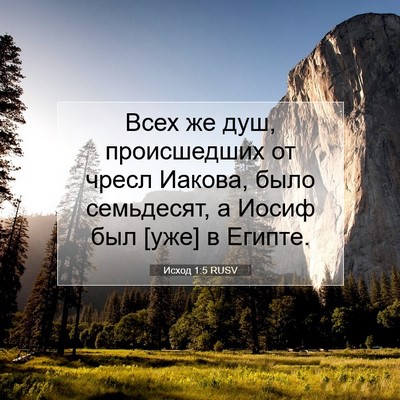 Picture 07 - Исход 1:5 RUSV - Всех же душ, происшедших от - Bible Verse Picture