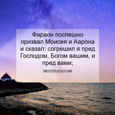 Picture 07 - Исход 10:16 RUSV - Фараон поспешно призвал - Bible Verse Picture