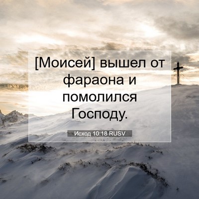 Picture 07 - Исход 10:18 RUSV - [Моисей] вышел от фараона и - Bible Verse Picture