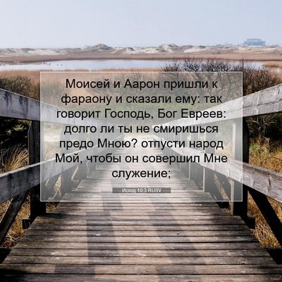 Picture 07 - Исход 10:3 RUSV - Моисей и Аарон пришли к - Bible Verse Picture