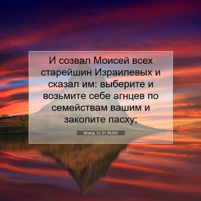 Picture 07 - Исход 12:21 RUSV - И созвал Моисей всех - Bible Verse Picture