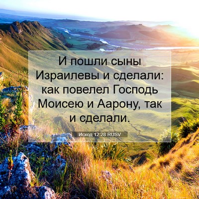 Picture 07 - Исход 12:28 RUSV - И пошли сыны Израилевы и - Bible Verse Picture