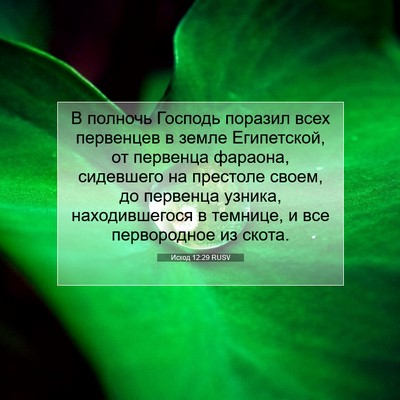 Picture 07 - Исход 12:29 RUSV - В полночь Господь поразил - Bible Verse Picture