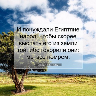 Picture 07 - Исход 12:33 RUSV - И понуждали Египтяне - Bible Verse Picture
