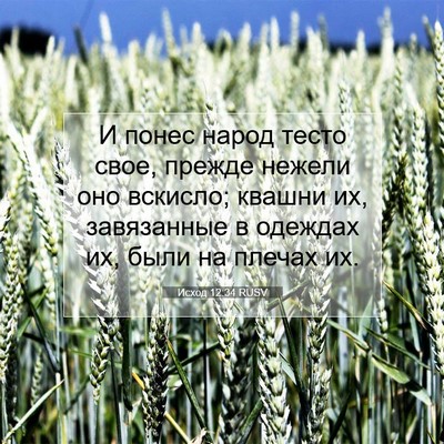 Picture 07 - Исход 12:34 RUSV - И понес народ тесто свое, - Bible Verse Picture