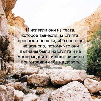 Picture 07 - Исход 12:39 RUSV - И испекли они из теста, - Bible Verse Picture