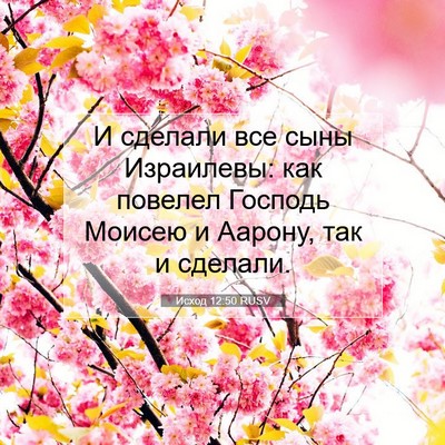 Picture 07 - Исход 12:50 RUSV - И сделали все сыны - Bible Verse Picture