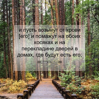 Picture 07 - Исход 12:7 RUSV - и пусть возьмут от крови - Bible Verse Picture
