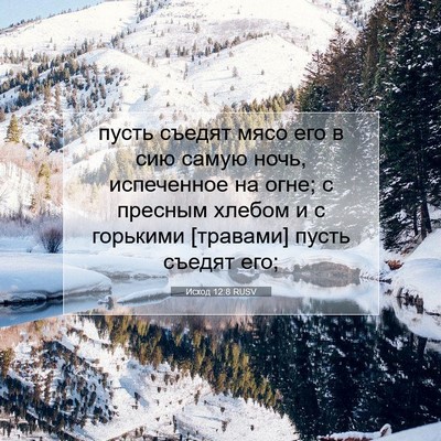 Picture 07 - Исход 12:8 RUSV - пусть съедят мясо его в сию - Bible Verse Picture