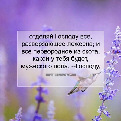 Picture 07 - Исход 13:12 RUSV - отделяй Господу все, - Bible Verse Picture