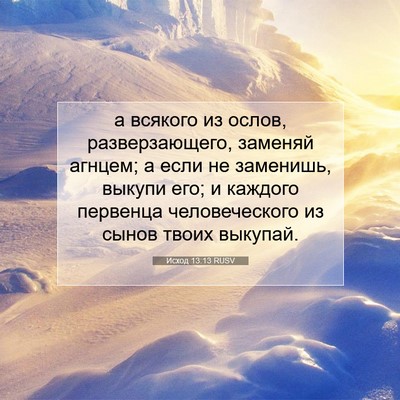 Picture 07 - Исход 13:13 RUSV - а всякого из ослов, - Bible Verse Picture