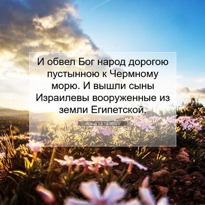 Picture 07 - Исход 13:18 RUSV - И обвел Бог народ дорогою - Bible Verse Picture