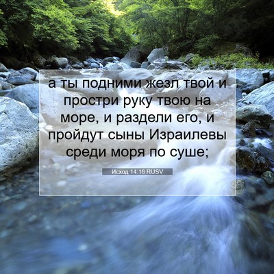 Picture 07 - Исход 14:16 RUSV - а ты подними жезл твой и - Bible Verse Picture