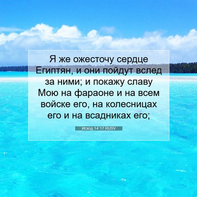 Picture 07 - Исход 14:17 RUSV - Я же ожесточу сердце - Bible Verse Picture