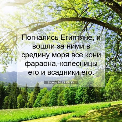 Picture 07 - Исход 14:23 RUSV - Погнались Египтяне, и - Bible Verse Picture
