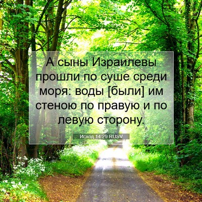 Picture 07 - Исход 14:29 RUSV - А сыны Израилевы прошли по - Bible Verse Picture