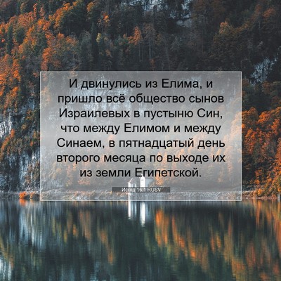 Picture 07 - Исход 16:1 RUSV - И двинулись из Елима, и - Bible Verse Picture