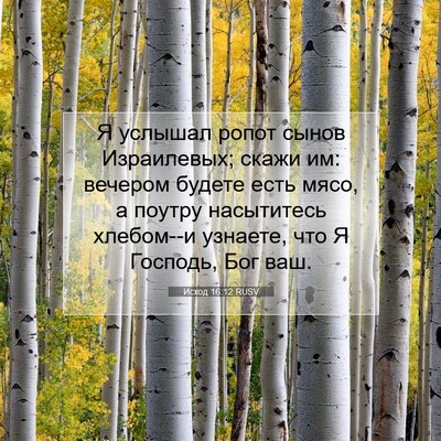 Picture 07 - Исход 16:12 RUSV - Я услышал ропот сынов - Bible Verse Picture