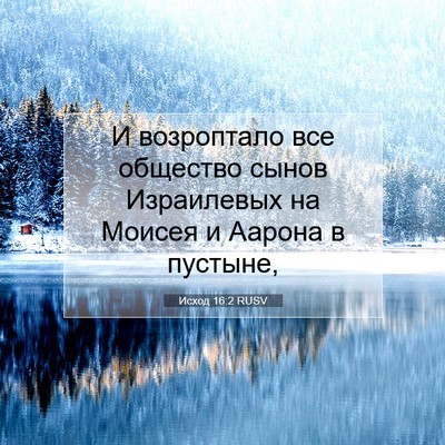 Picture 07 - Исход 16:2 RUSV - И возроптало все общество - Bible Verse Picture