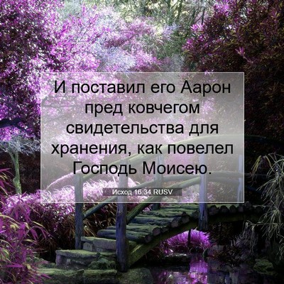 Picture 07 - Исход 16:34 RUSV - И поставил его Аарон пред - Bible Verse Picture