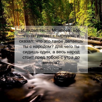 Picture 07 - Исход 18:14 RUSV - И видел тесть Моисеев, всё, - Bible Verse Picture