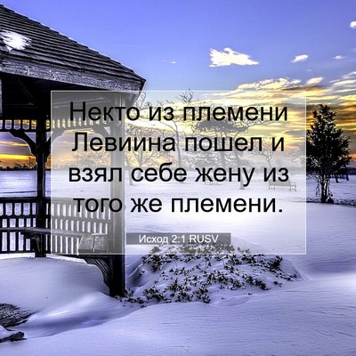 Picture 07 - Исход 2:1 RUSV - Некто из племени Левиина - Bible Verse Picture