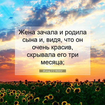 Picture 07 - Исход 2:2 RUSV - Жена зачала и родила сына - Bible Verse Picture