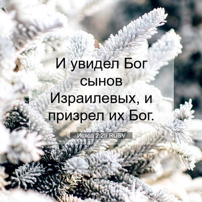 Picture 07 - Исход 2:25 RUSV - И увидел Бог сынов - Bible Verse Picture