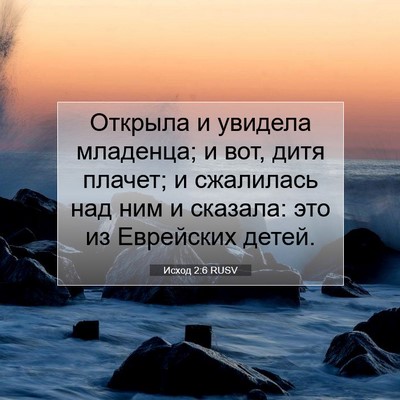 Picture 07 - Исход 2:6 RUSV - Открыла и увидела - Bible Verse Picture