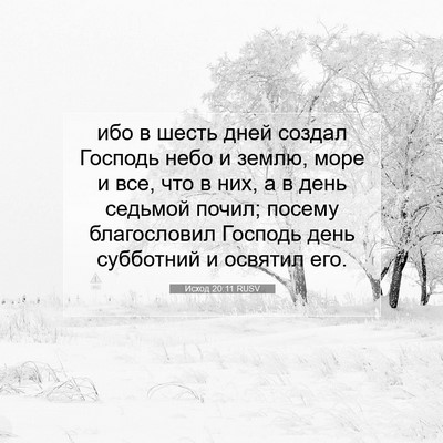 Picture 07 - Исход 20:11 RUSV - ибо в шесть дней создал - Bible Verse Picture