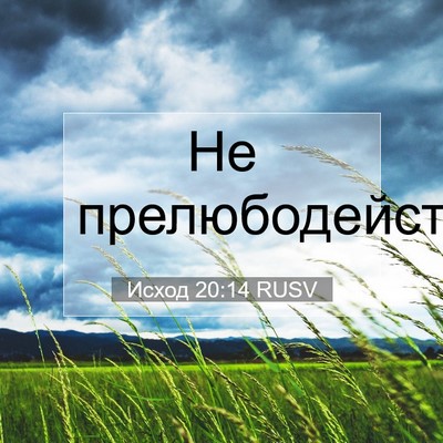 Picture 07 - Исход 20:14 RUSV - Не - Bible Verse Picture
