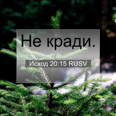 Picture 07 - Исход 20:15 RUSV - Не - Bible Verse Picture