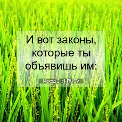 Picture 07 - Исход 21:1 RUSV - И вот законы, которые ты - Bible Verse Picture